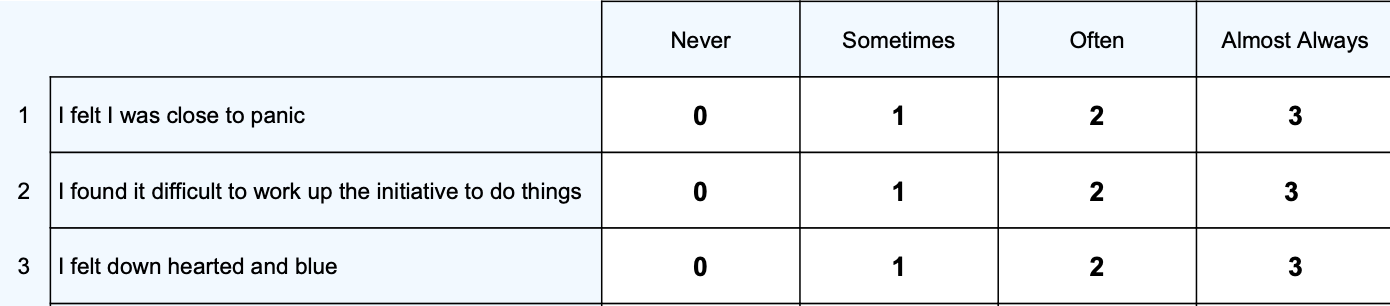 Depression Anxiety Stress Scale questions