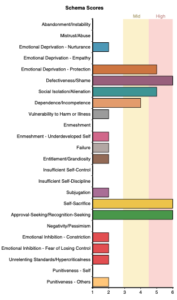 BESQ - Brief Early Schema Questionnaire