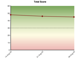 Brief 2-Way SSS - Brief 2-Way Social Support Scale