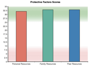 Pfrsc PFRS - Protective Factors of Resilience Scale